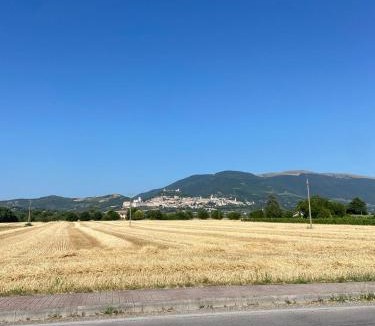 Santa Maria degli Angeli Apartment | Casa Elisa