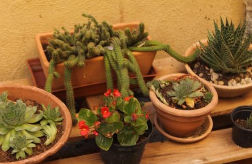 Acquasparta House | Casa Ernesto-AMICA DEI CICLISTI
