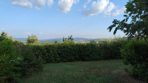 Lucciana Apartment | Casa in campagna nel Chianti colline senesi