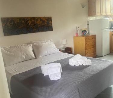 Forio Apartment | casa l'olivo