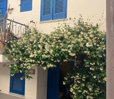 Ogliastro Marina Apartment | Casa Magica Ogliastro