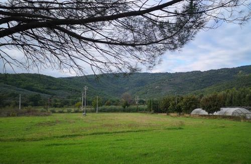 La Strada-Santa Cristina Bed & Breakfast | Casa Mirella