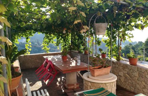 Vico del Gargano Cabin | CASA VACANZE " da Giu' "