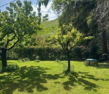 Saltara Apartment | Casa vacanze fano colli al metauro