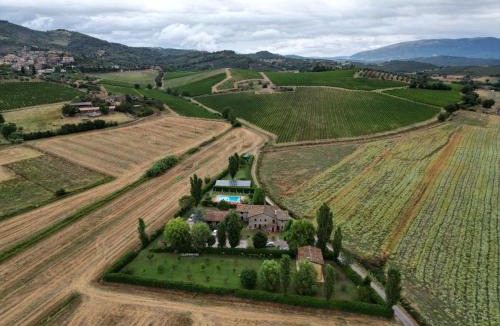 Collesanto House | Casa Vacanze Vecchio Granaio