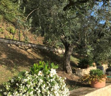 Montefalco House | Casa Vacanze Vecciano