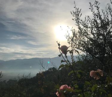 Montefalco House | Casa Vacanze Vecciano