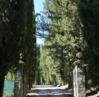 Santa Reparata Apartment | Casa vacanze Zaira Anghiari