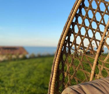 Pineto Bed & Breakfast | Casale Adriatico B&B
