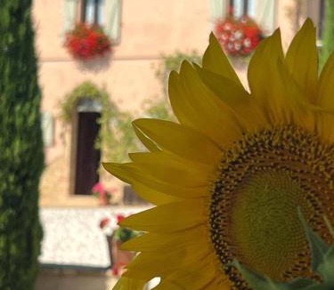Santa Maria d'Alto Cielo Bed & Breakfast | Casale delle Rondini