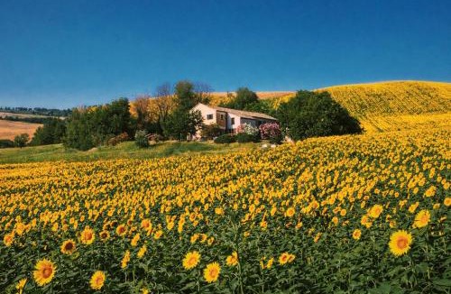 Bettolelle Apartment | Casale Milleluci - Country House
