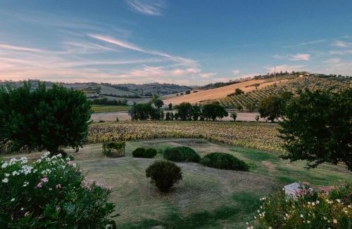 Bettolelle Apartment | Casale Milleluci - Country House