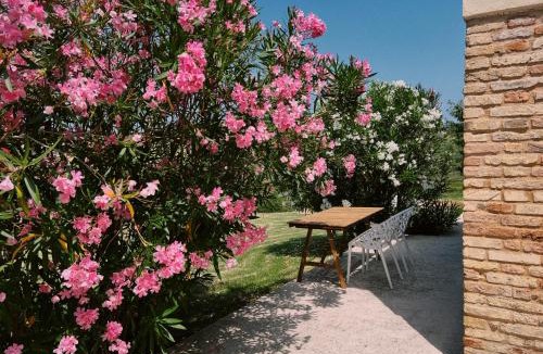 Bettolelle Apartment | Casale Milleluci - Country House