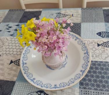 Le Forna Apartment | Casatalento2