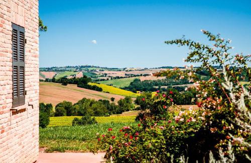 Ostra Vetere Bed & Breakfast | CasaVostra - Ambience Suites