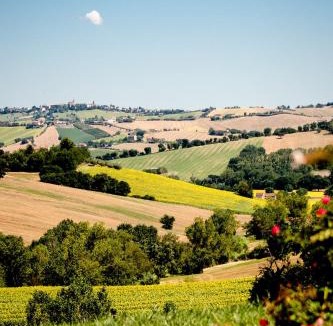 Ostra Vetere Bed & Breakfast | CasaVostra - Ambience Suites