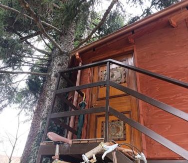 Borgo San Dalmazzo House | Casetta sull'albero