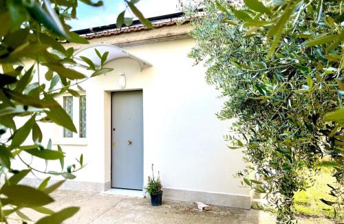 Bastia Umbra Apartment | Casina Mia Assisi Airport Perugia UmbriaFiere