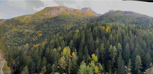 Chez Carral House | Chalet a due passi piste da sci