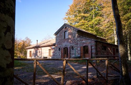 Castel del Piano Ski Chalet | Chalet Vecchio Rifugio - Monte Amiata