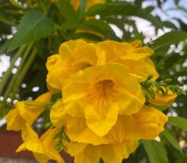 San Felice Circeo Apartment | Circeo Mon Amour