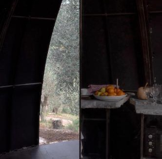 Montorsaio Other | Cosmo Camp