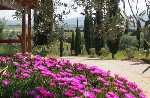 Follonica Apartment | Cosy apartment for 6 guests with TV, patio and panoramic view