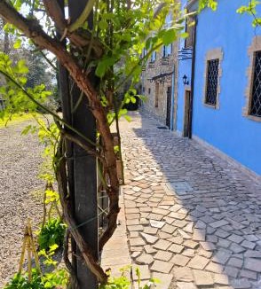 Allerona House | Country House - Casa Raffaella di Michele e Sven