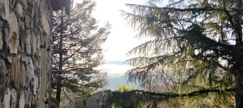 Allerona House | Country House - Casa Raffaella di Michele e Sven