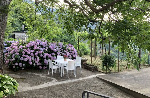 Stella Cilento Apartment | Cozy, comfortable, surrounded by greenery in the historic center