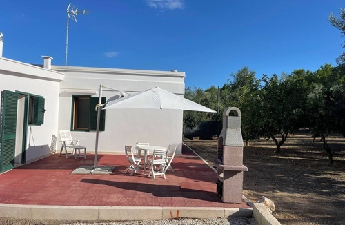 Trani Villa | Cozy guest house on private olive orchard estate surounded by fruit trees.