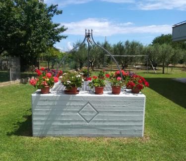 Monte San Vito Bed & Breakfast | Da Dany