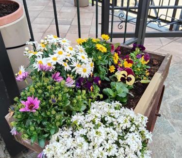Badia Prataglia Bed & Breakfast | Da Mary
