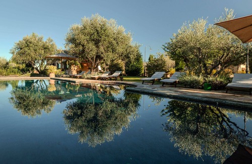 Monterosso Apartment | Deluxe Apartment The Olive Tree Apartment