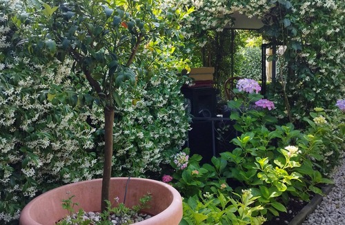 Tuscania Apartment | Dependance independent private garden in liberty villa city center Pet free