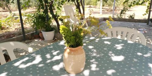 Trani House | Dependance Villa Grazia
