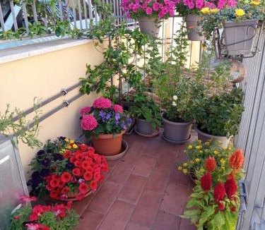 San Demetrio ne' Vestini Apartment | Dimora Visconti