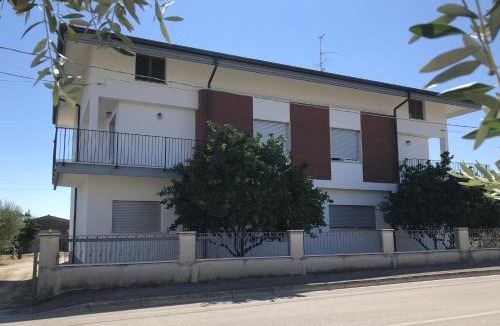 Ortona House | Domus Alba
