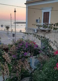 Santo Spirito Apartment | EDEN HOUSE