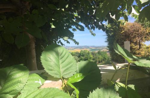 Cartoceto Bed & Breakfast | Eden Lilli B&B