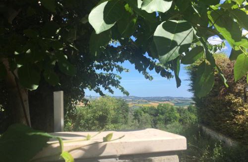 Cartoceto Bed & Breakfast | Eden Lilli B&B