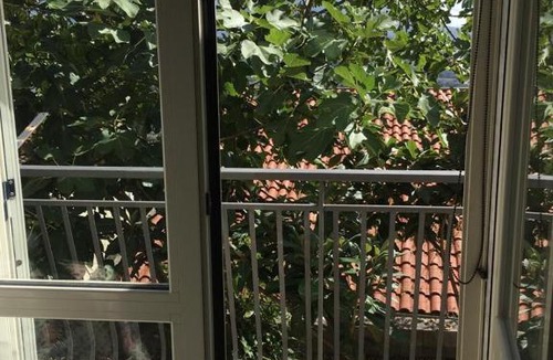 Contursi Terme Bed & Breakfast | Enjoy Contursi Terme