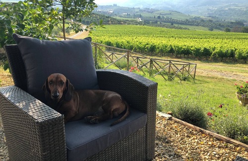 Twist House | FARM IL POGGIOLINO