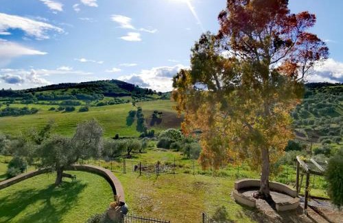 Campagnatico House | Fattoria Tolomei