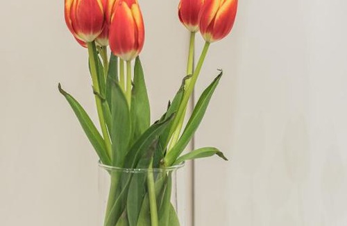 Rione III Colonna Apartment | Frattina 35