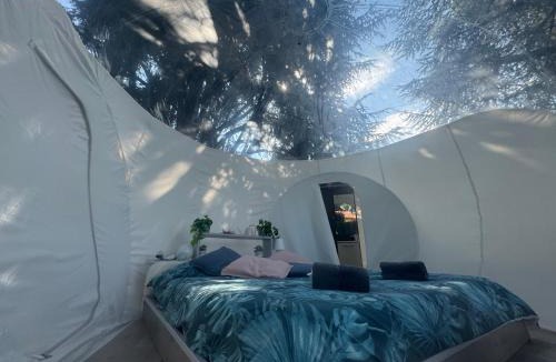 Almese Other | FUGA ROMANTICA Panoramica
