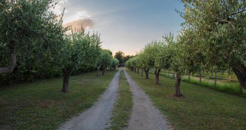 Paestum Bed & Breakfast | Fuori le Mura