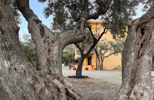 Fuscaldo Apartment | Fuscaldoapartment - Pantheon