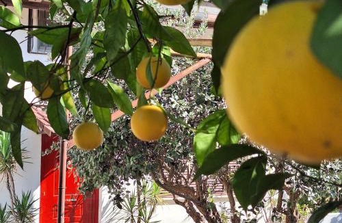 Magazzeno Bed & Breakfast | Giallo Limone B&B