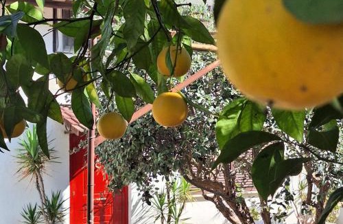 Magazzeno Bed & Breakfast | Giallo Limone B&B